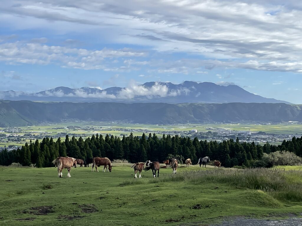 阿蘇東登山道(坊中線)−２の画像