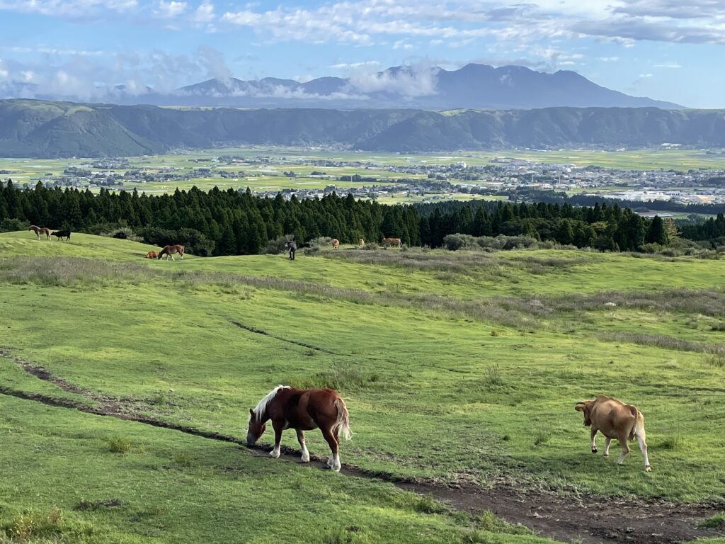 阿蘇東登山道(坊中線)−３の画像