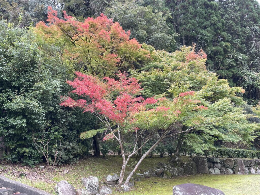 溪石園−６の画像