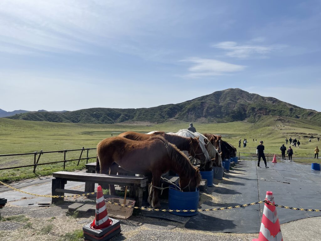 草千里ヶ浜−1の画像