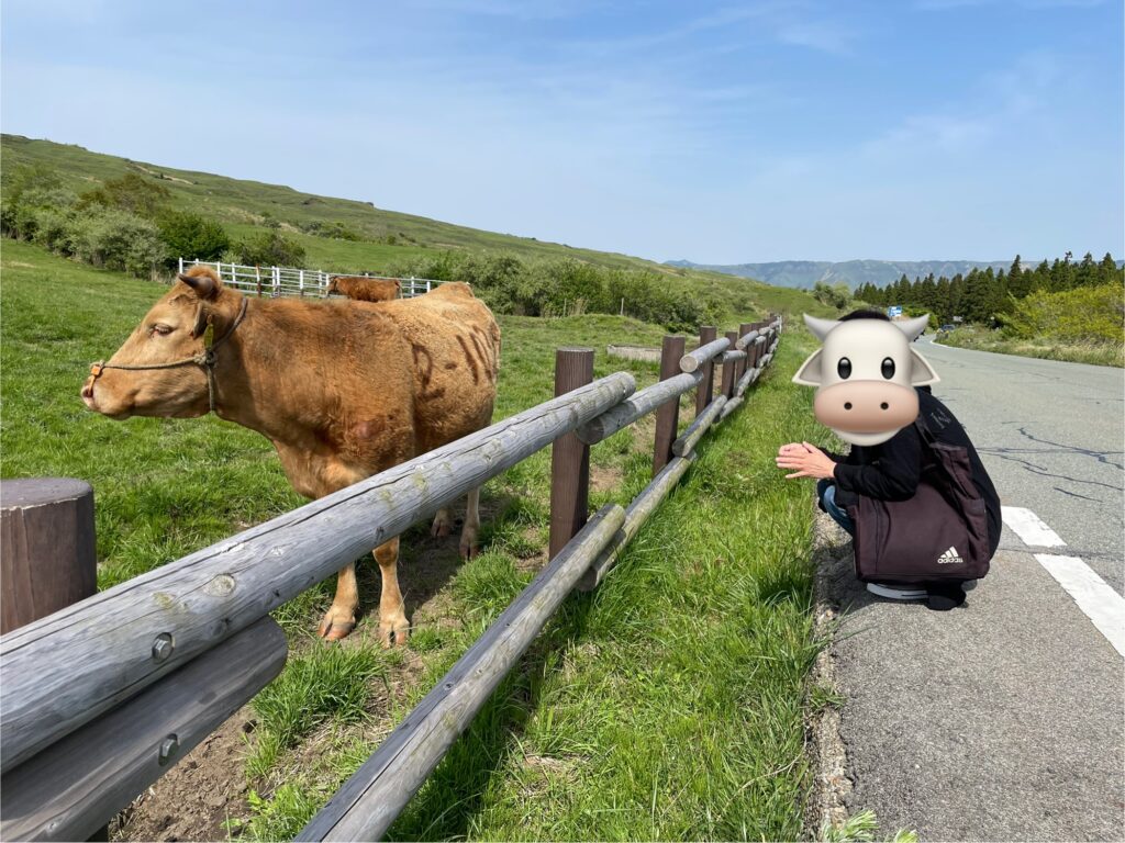 阿蘇山−3の画像