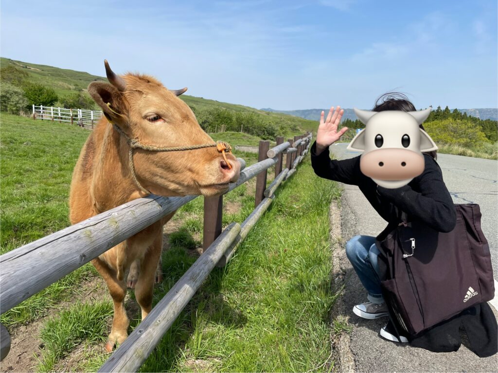 阿蘇山−4の画像