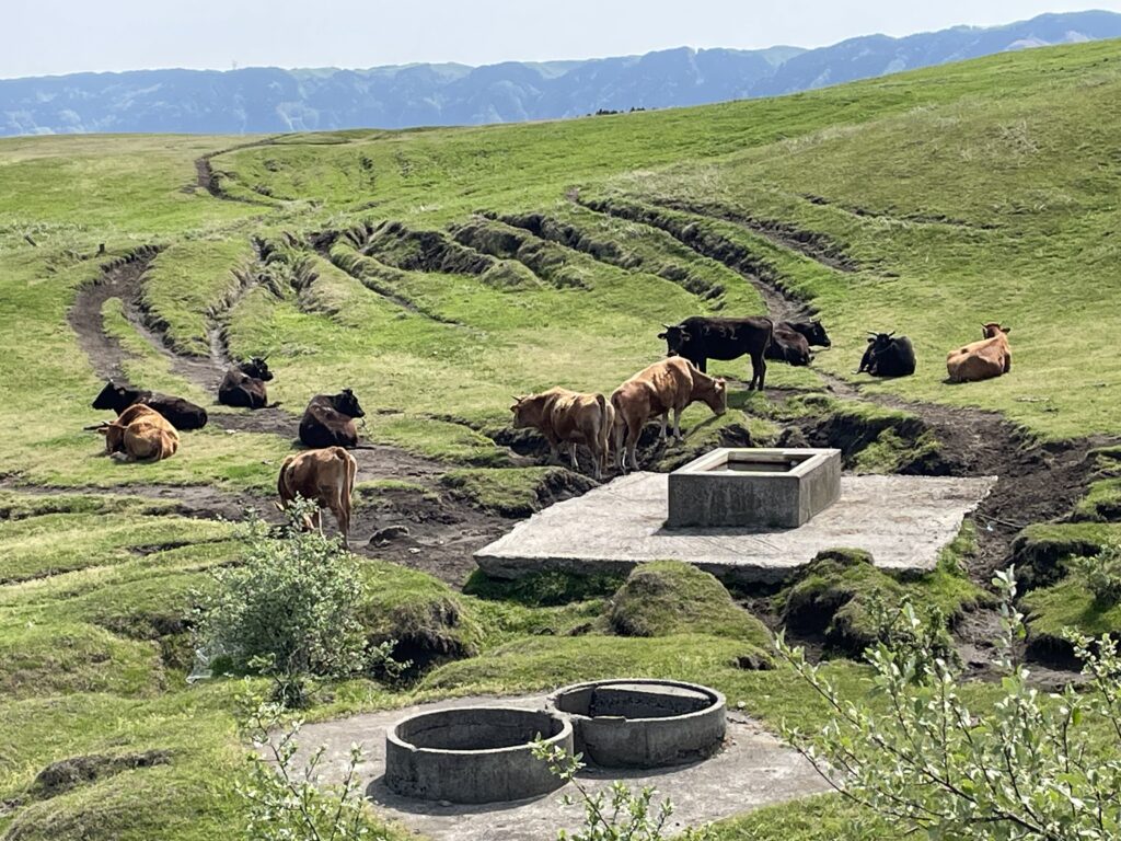 阿蘇山−1の画像