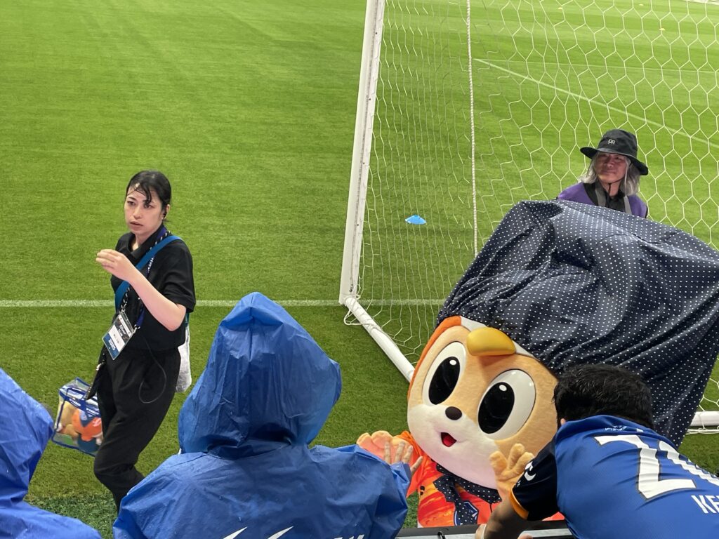 雨の日のヴィヴィくんの画像